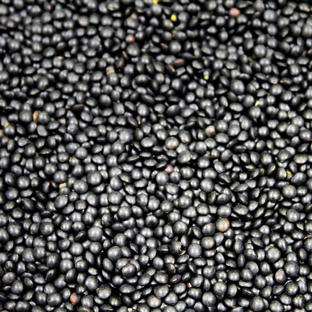 Lentils - Black Beluga - Organic - Timeless Natural Food