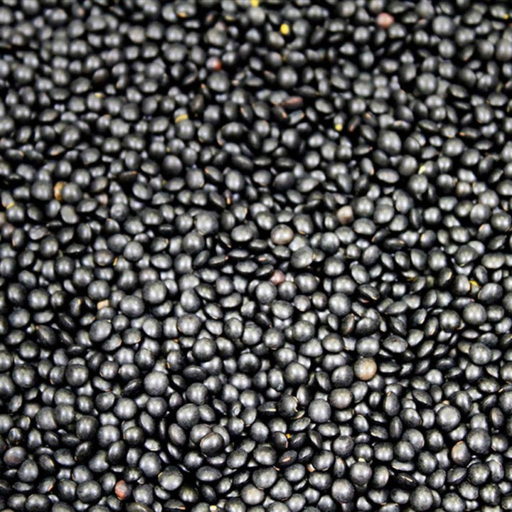 Lentils - Black Beluga - Organic - Timeless Natural Food