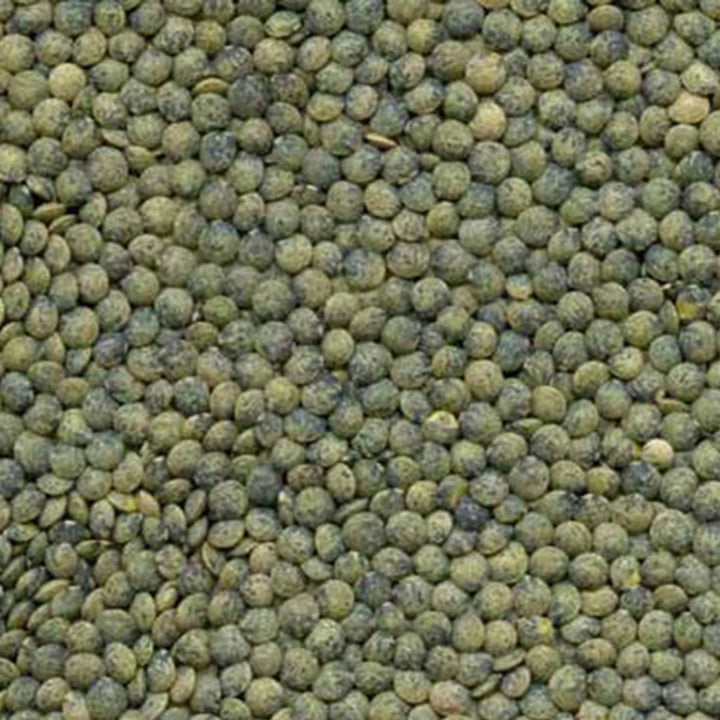 Lentils - French Green - Organic - Timeless Natural Food