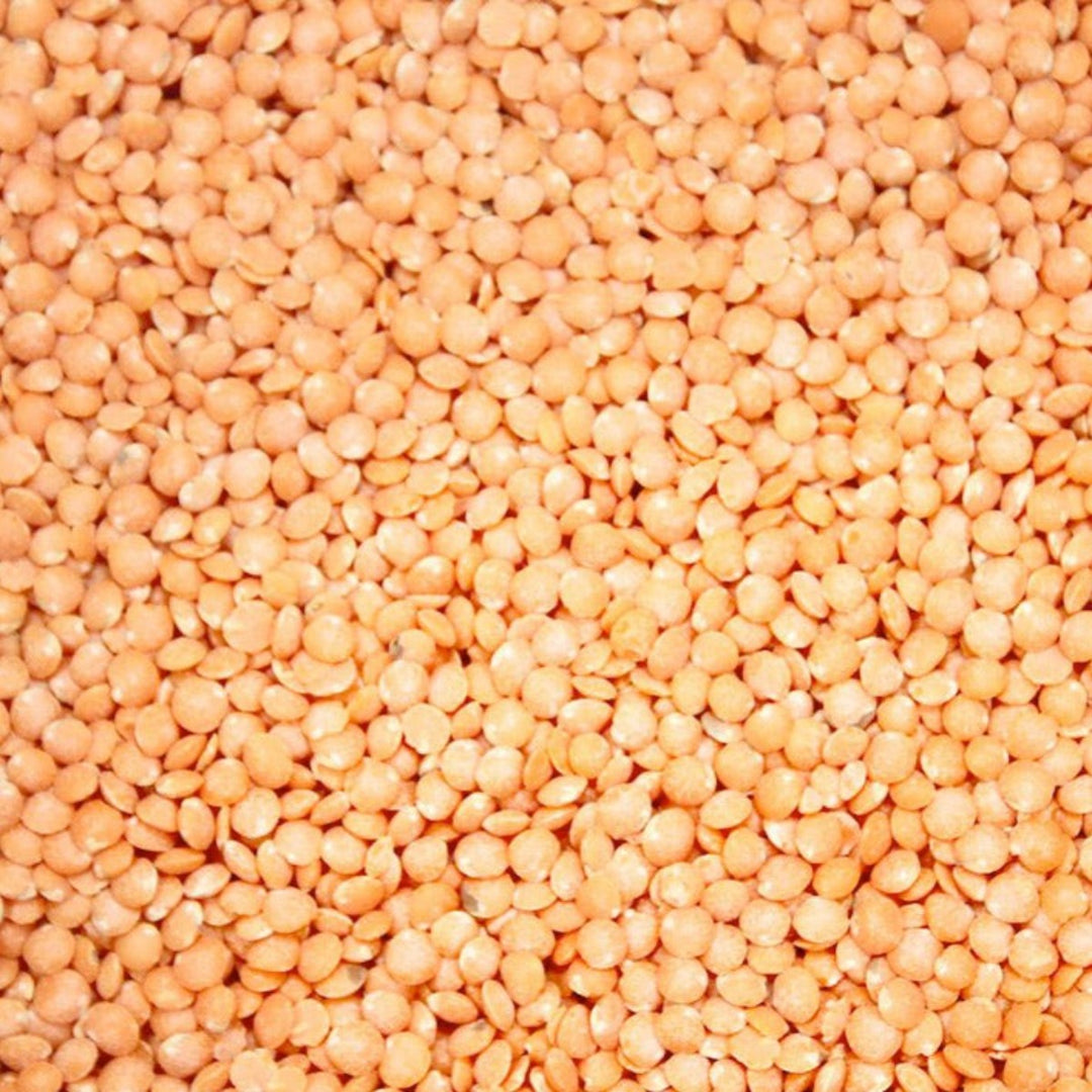 Lentils - Petite Crimson - Organic - Timeless Natural Food