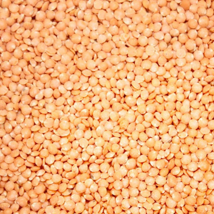 Lentils - Petite Crimson - Organic - Timeless Natural Food